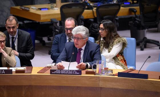 秘书长特别代表兼联哥核查团团长延恰向安理会成员通报该团在哥伦比亚的任务情况。